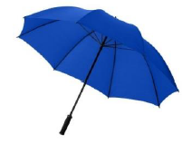 Regenschirm mit Dümpellogo